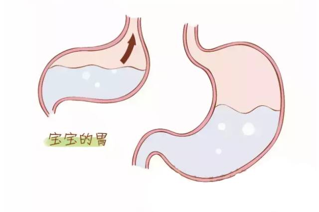 1610332119908923.png 20181224085416_23207.png